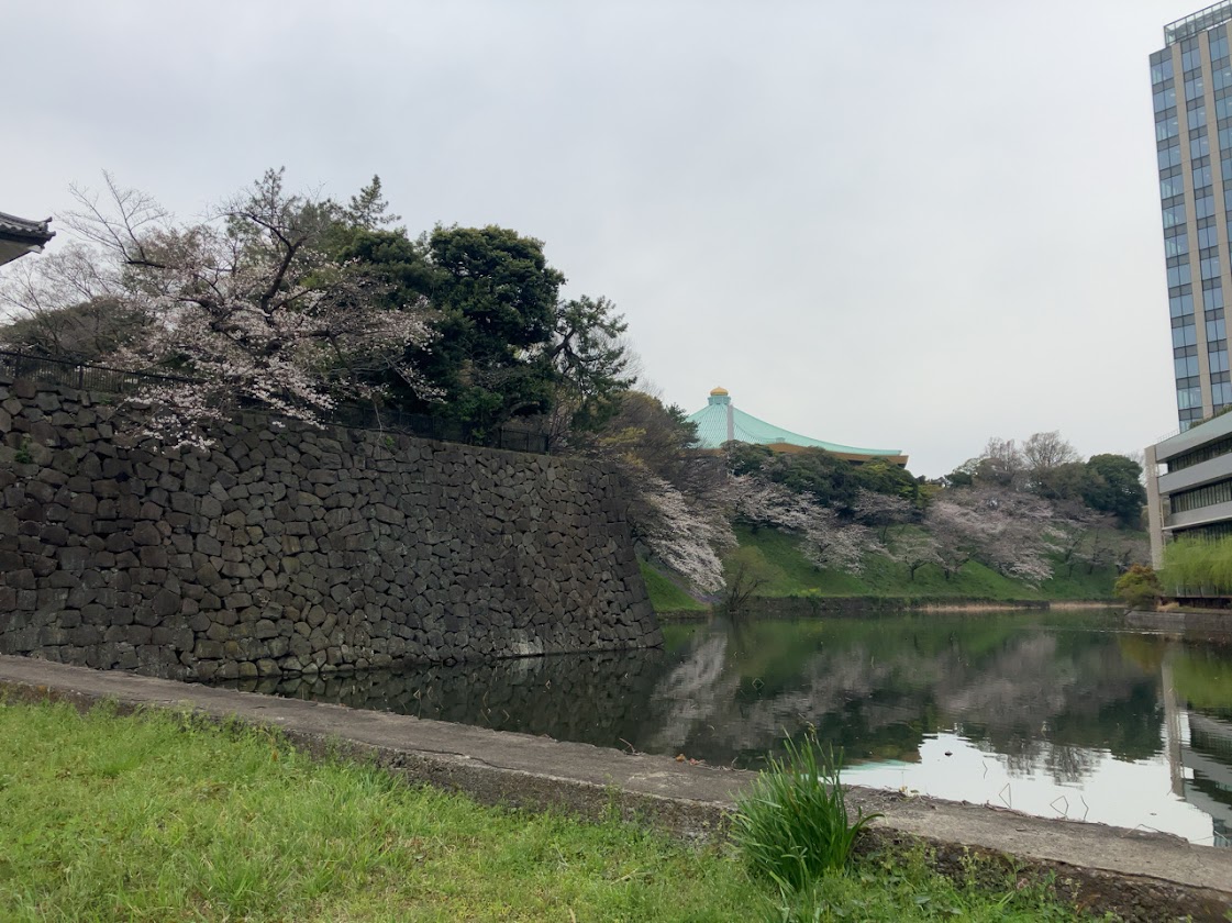 皇居のお濠と武道館