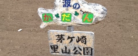 茅ヶ崎里山公園を散策
