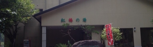 道志村の紅椿の湯でざるそばとかき揚げのランチ